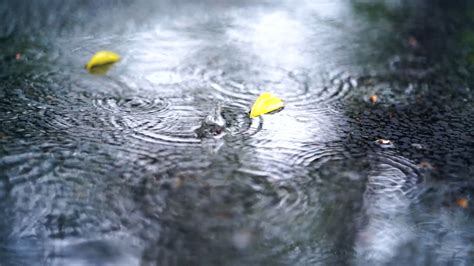 雨天圖